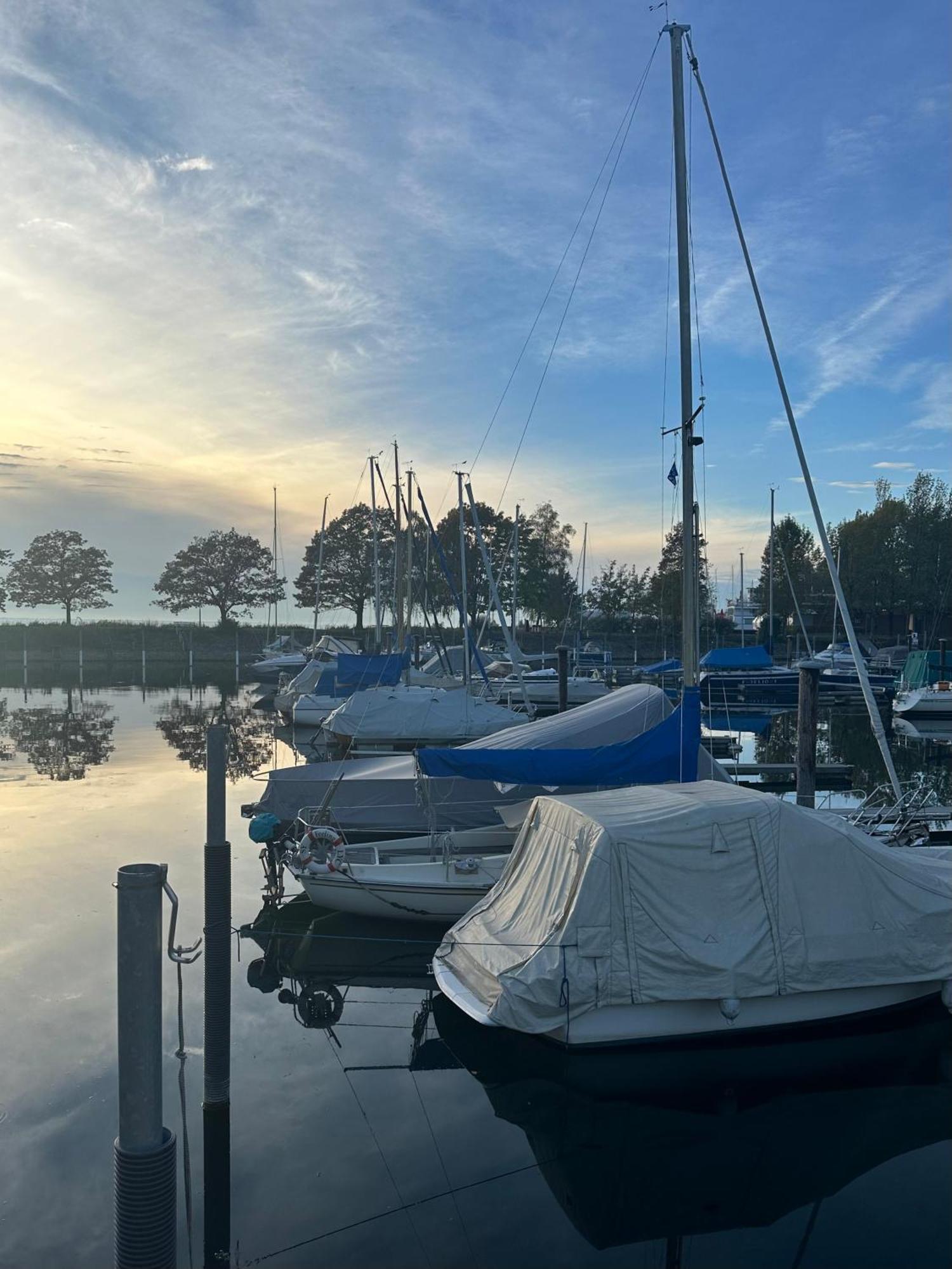 Seeblick 1908 Bregenz