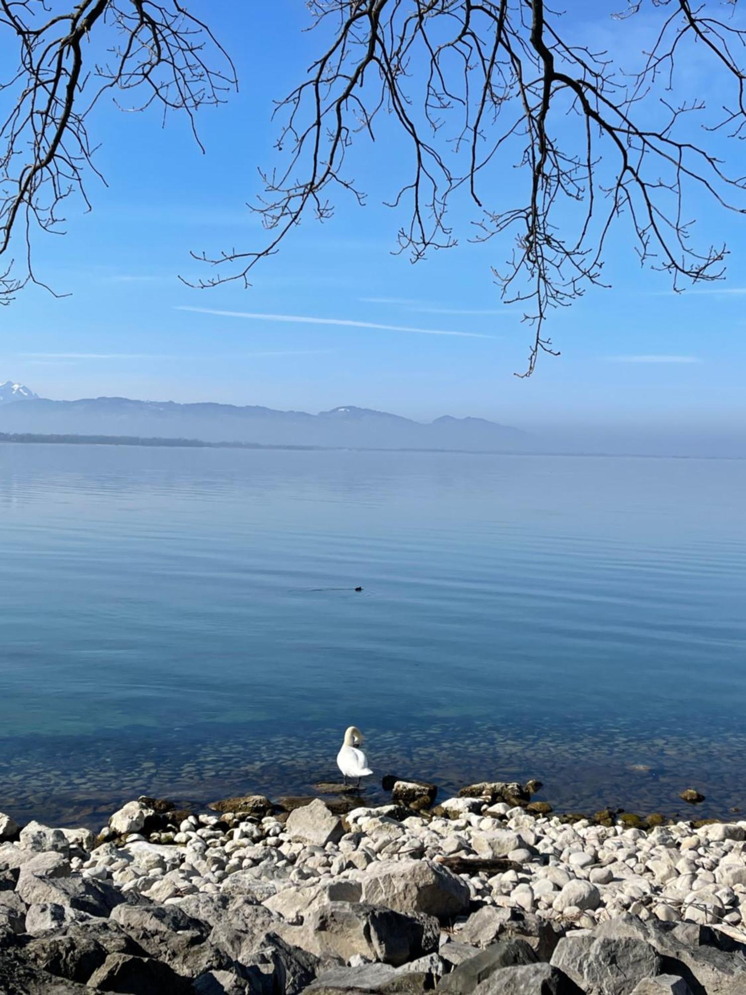 Apartment Seeblick 1908 Bregenz
