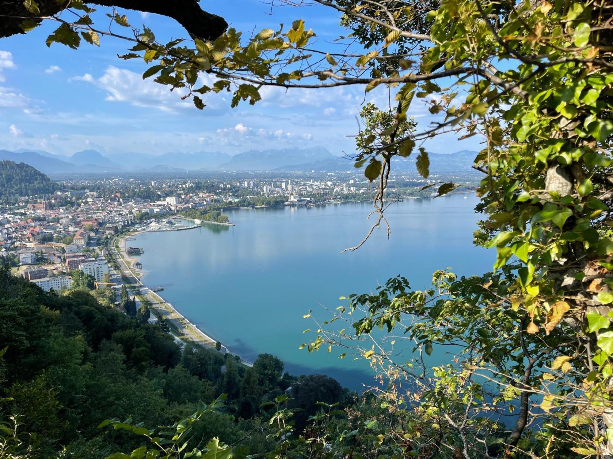 Seeblick 1908 * Bregenz